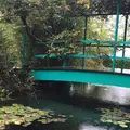 北川村「モネの庭」マルモッタンの写真_278799