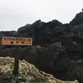 室戸岬の写真_278802