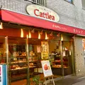 カトレアの写真_279025