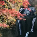 袋田の滝の写真_279145