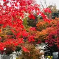 永源寺の写真_279147