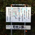 若林公園の写真_279782