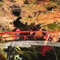 河鹿橋の写真_279905