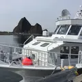 ゴジラ岩観光の写真_280427