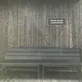 心臓音のアーカイブの写真_280569