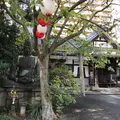 稲園山七寺の写真_280649