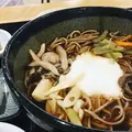 吾亦紅 (われもこう)の写真_280815