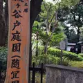 殿ヶ谷戸庭園の写真_280981