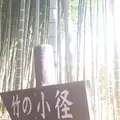 殿ヶ谷戸庭園の写真_280988
