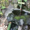 殿ヶ谷戸庭園の写真_280990