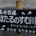お鷹の道・真姿の池湧水群の写真_280997