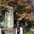 武蔵国分寺跡の写真_281010