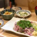 魚亀の写真_281258