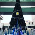 二子玉川ライズ・ショッピングセンターの写真_281311