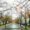 山谷堀公園の写真_281713