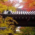 光明寺の写真_281788