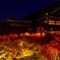 東福寺の写真_281789
