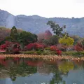 大覚寺の写真_281792