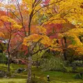 宝厳院の写真_281826