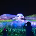 なばなの里の写真_281915