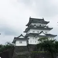 小田原城の写真_282058