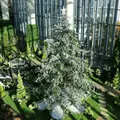 奇跡の星の植物館の写真_282383