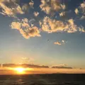 淡路島 クラフトマルシェの写真_282384