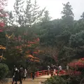 弥山の写真_282549