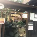 千光寺の写真_282556