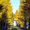 駒沢オリンピック公園の写真_282638