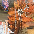 室生寺の写真_283014