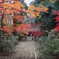 室生寺の写真_283017