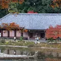 浄瑠璃寺の写真_283242