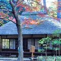 蘆花恒春園の写真_283771
