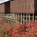 清水寺の写真_283840