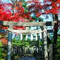 松陰神社の写真_284165