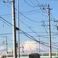 東真土の写真_284581