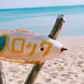 ハートロックの写真_285518