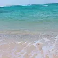 土盛海岸の写真_285522