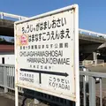 長者ヶ浜潮騒はまなす公園前駅の写真_286637