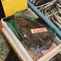 那珂湊おさかな市場の写真_286639