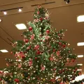 帝国ホテルの写真_287655