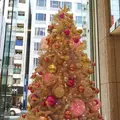 EXITMELSA(イグジットメルサ)の写真_287716