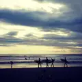 鵠沼海岸の写真_287970