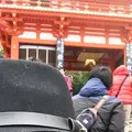 八坂神社の写真_288080