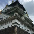 大阪城の写真_288331