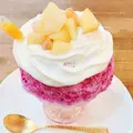 かき氷研究所の写真_288759