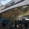 とべ動物園の写真_288865