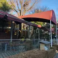 Le Pain Quotidien (ル・パン・コティディアン) 芝公園店の写真_288922
