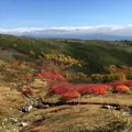 旭岳の写真_288940